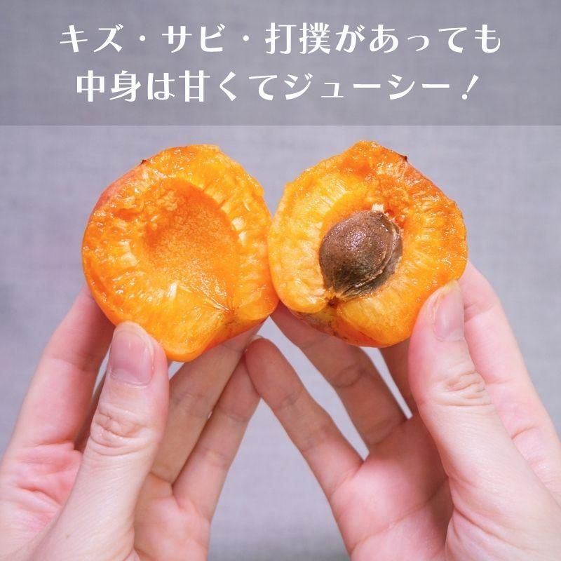 ѥϡå
