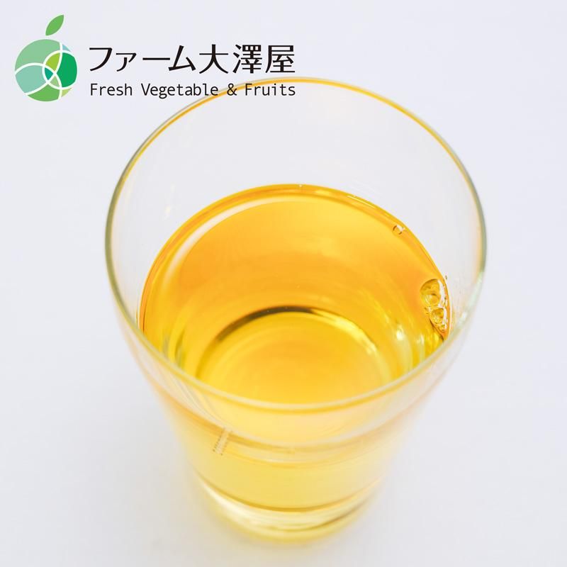 花九曜印 花梨(かりん)エキス 2本 内容量1本約630g 希釈 長野県産 諏訪