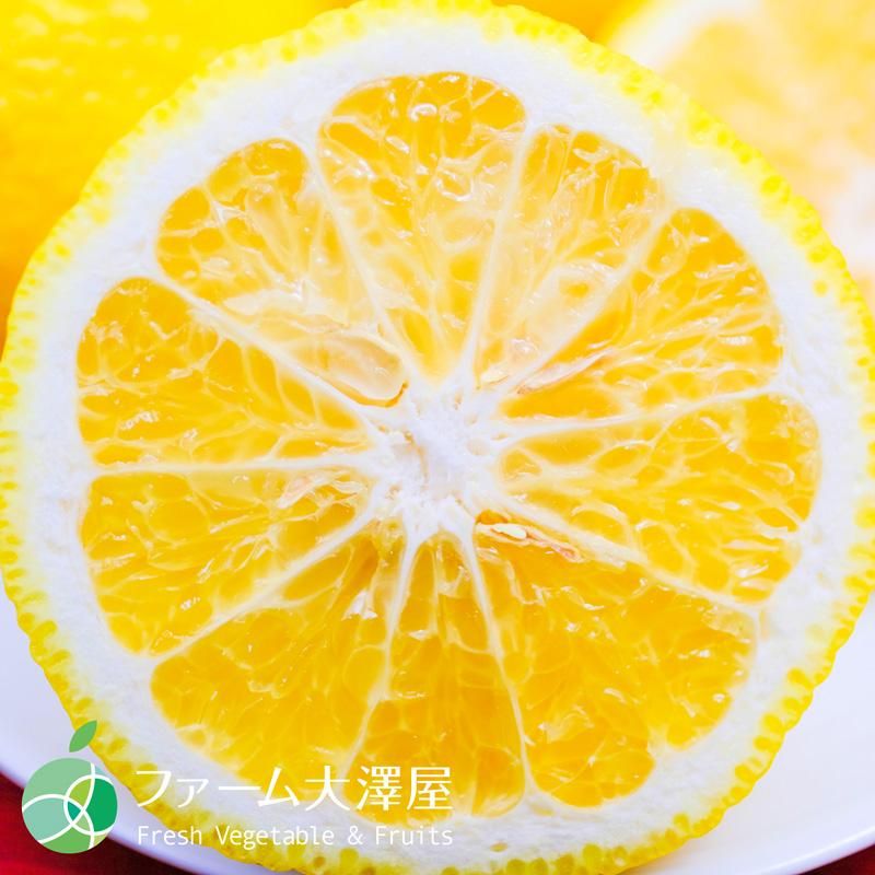 はるか みかん 赤秀 2L 約3kg 13-15玉 愛媛県産 蜜柑 フルーツ はるか みかん 赤秀 2L 約3kg 13-15玉 愛媛県産 蜜柑 フルーツ