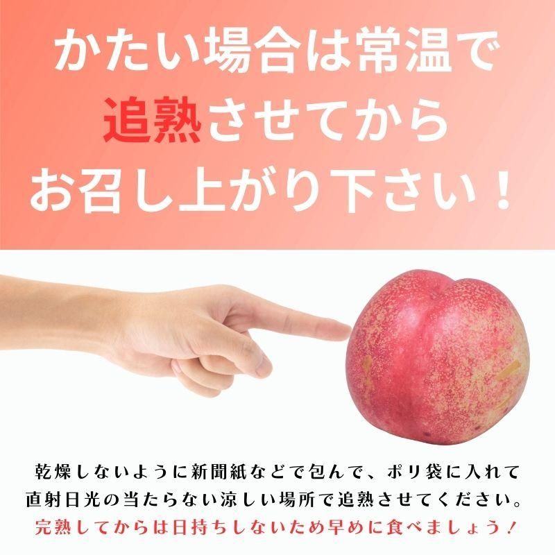 ֤ͥ