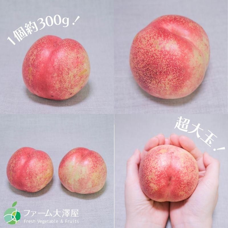 ֤ͥ