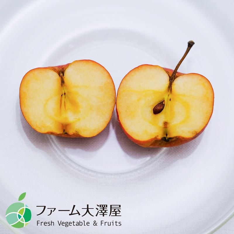 加工用アルプス乙女