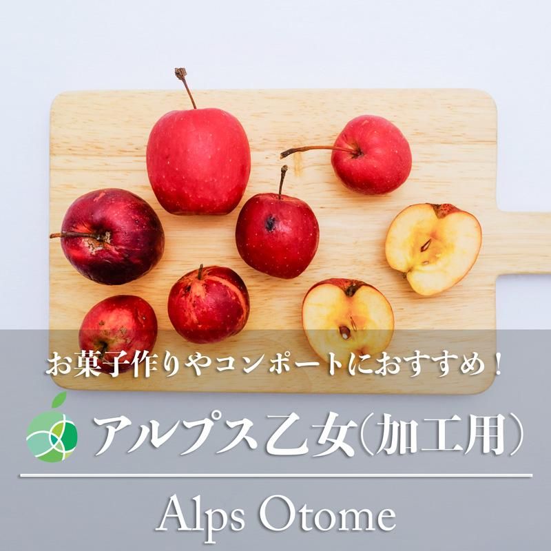 加工用アルプス乙女
