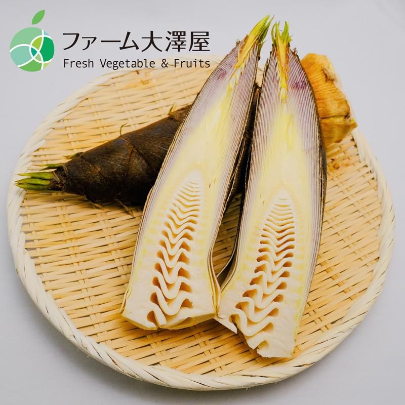 たけのこ　16キロ　米糠付き　高知県産　孟宗竹 _960_190418145930.jpg
