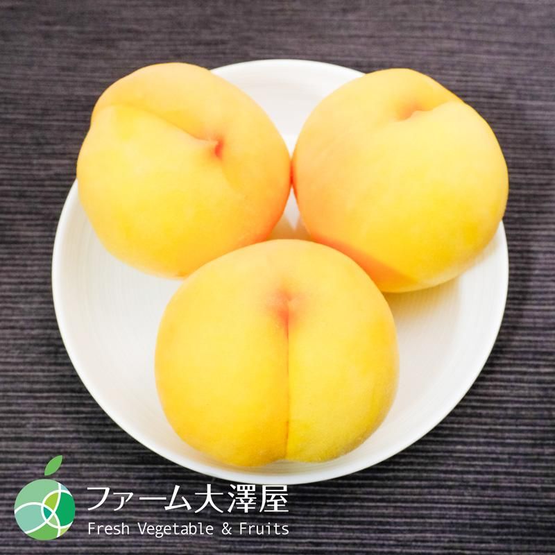 マロンなピーチ 黄金桃 もも 約5kg 14-24玉 贈答用 秀 長野県産