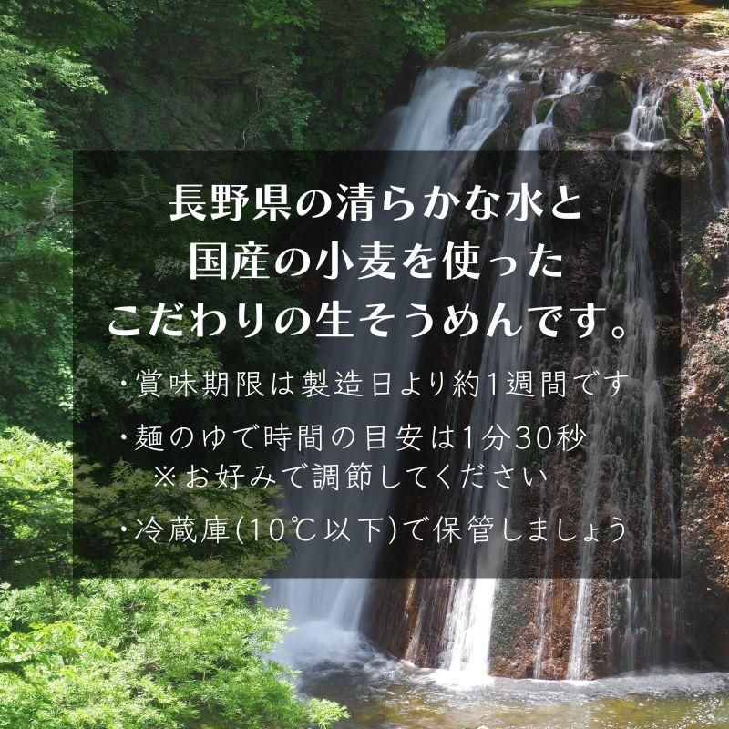 生そうめん 10食セット 創業90年 信州の老舗製麺所仕込み 生素麺