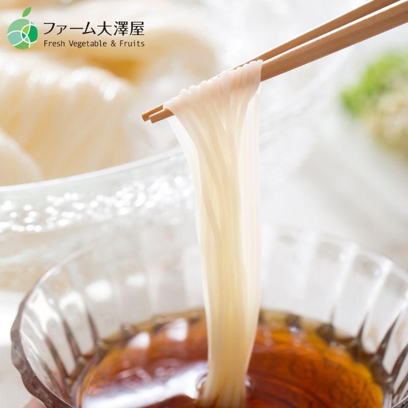 生そうめん 10食セット 創業90年 信州の老舗製麺所仕込み 生素麺