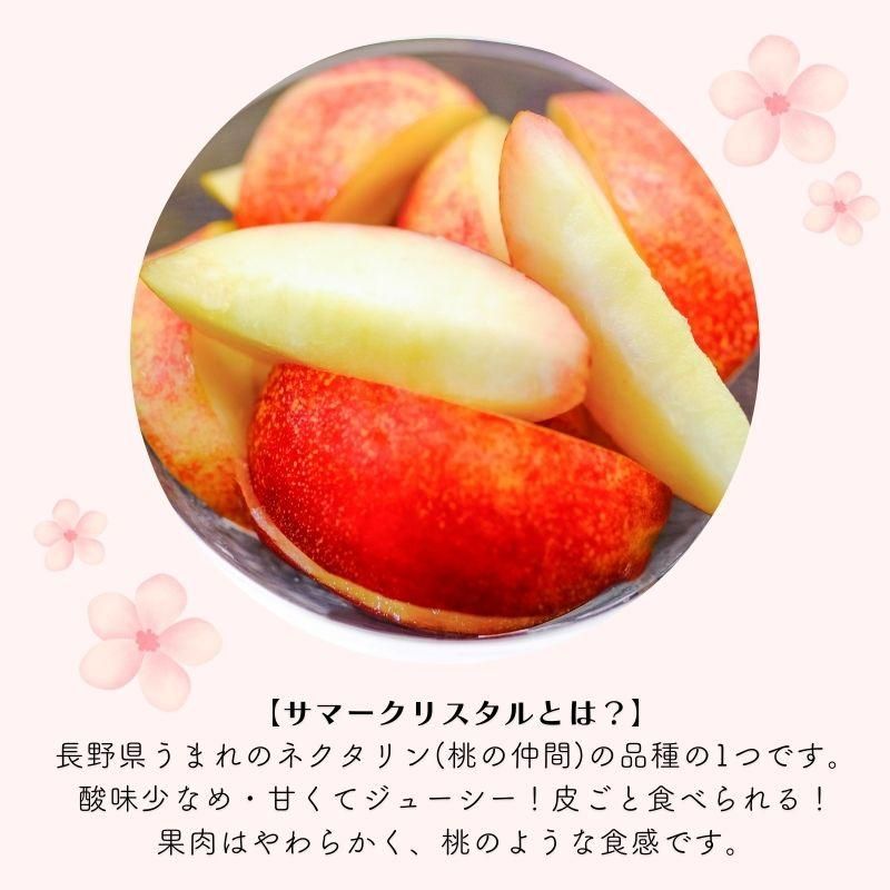 ޡꥹ