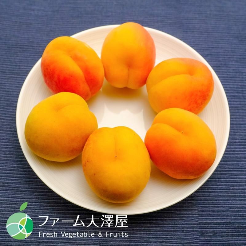 信州大実（あんず）