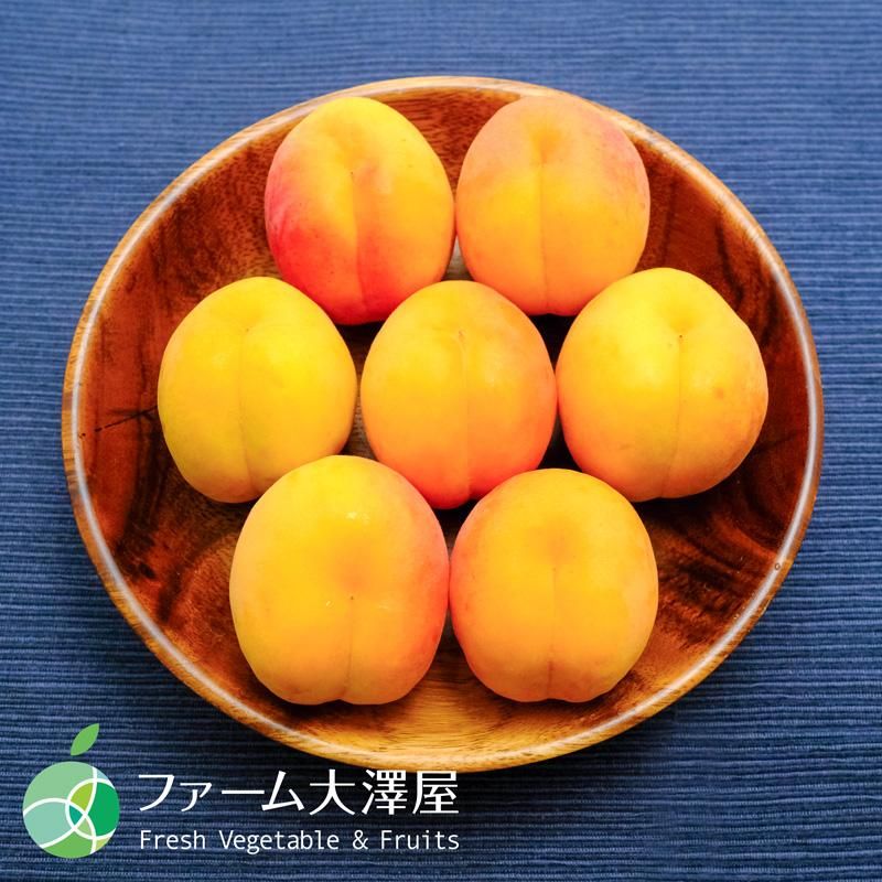 信州大実（あんず）