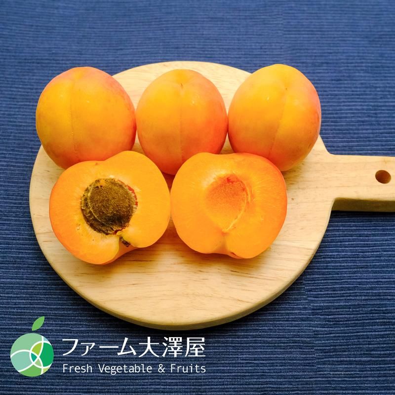 信州大実（あんず）