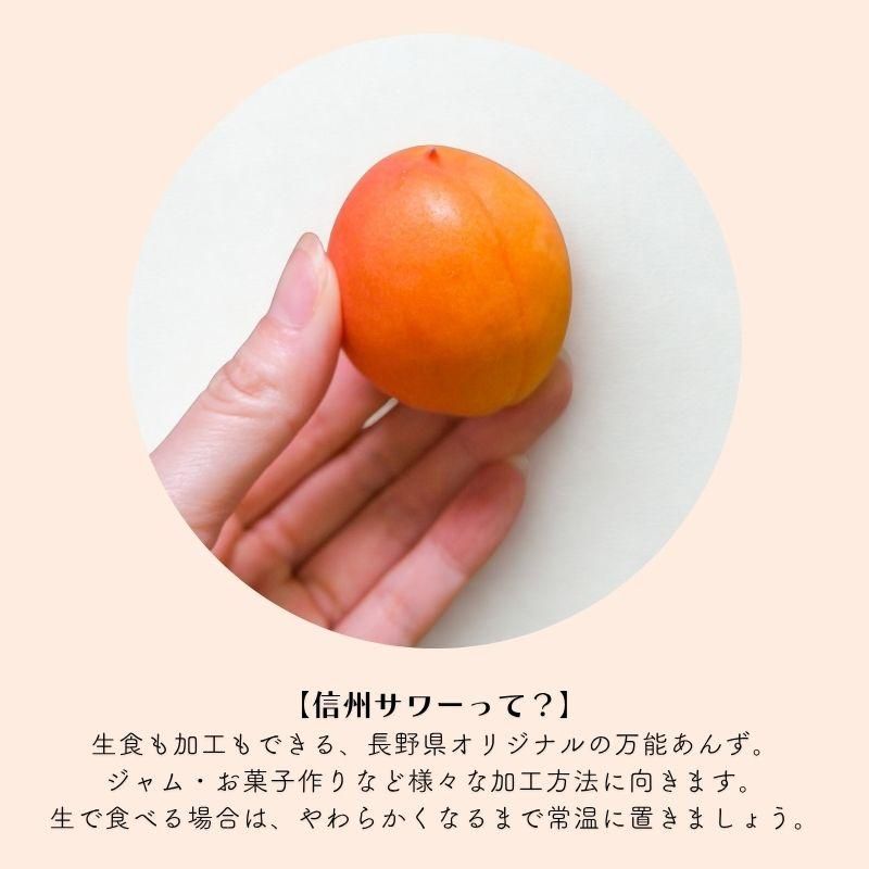 ʤ󤺡