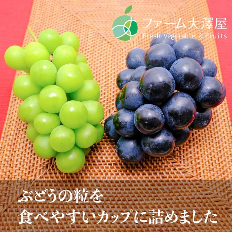 㥤ޥåȡʥΥѡץ