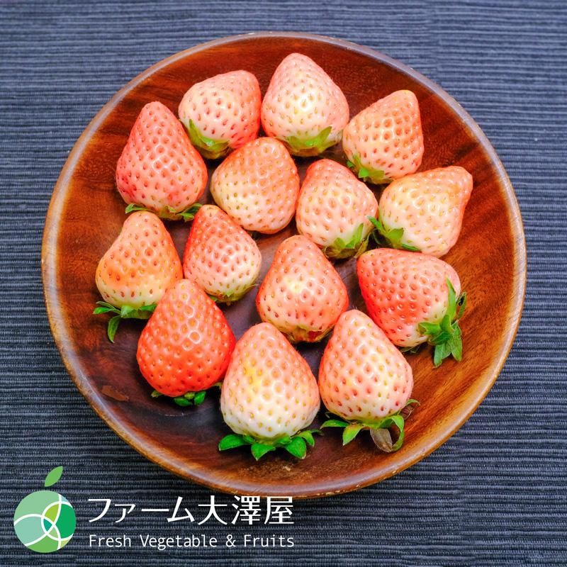 しずく姫 いちご 4パック 長野県中野市産 誕生日 プレゼント フルーツ