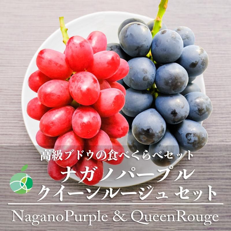 優先配送 長野 クイーンルージュ 9房 5kg 秀品 高級ぶどう - 食品