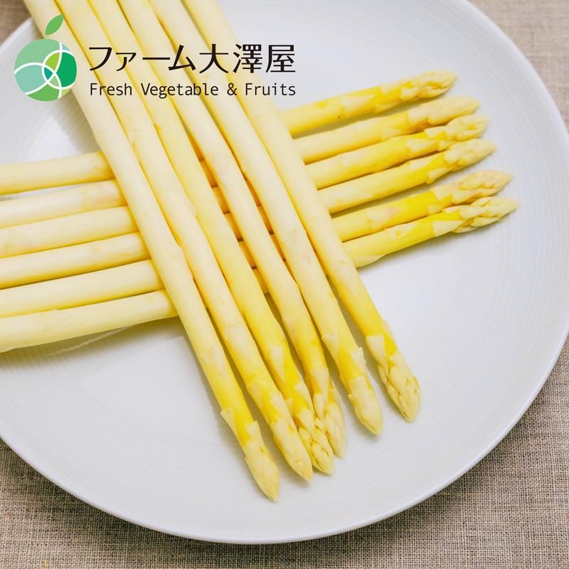ۥ磻ȥѥ饬