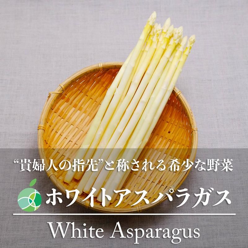 ۥ磻ȥѥ饬