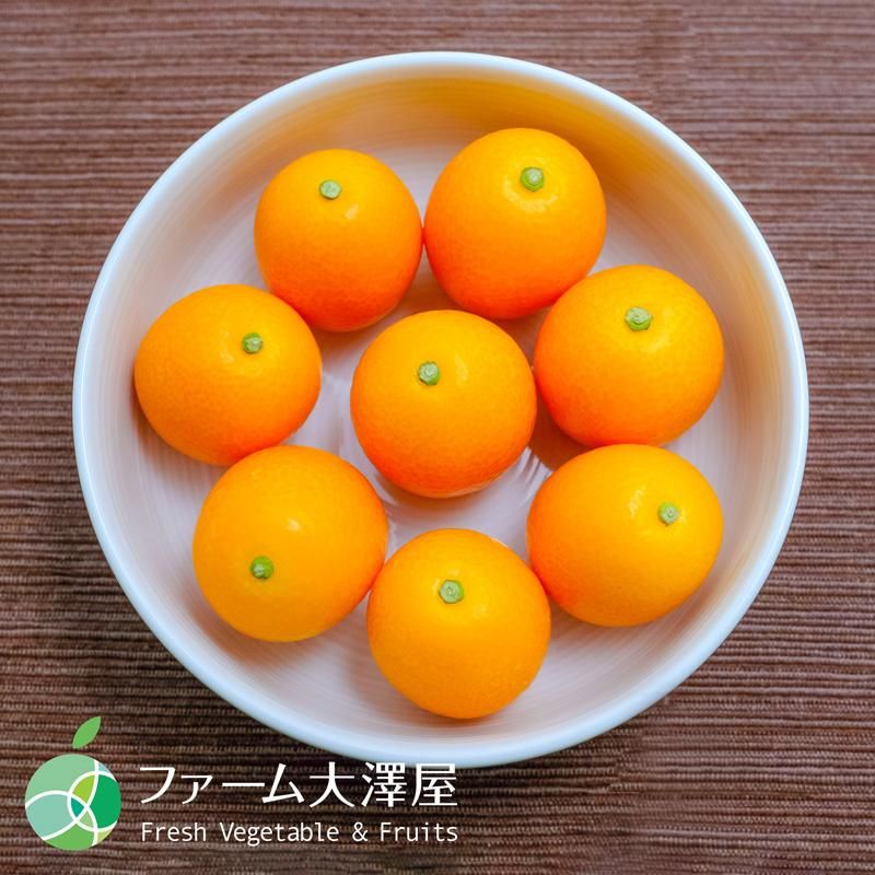 夢小町（きんかん）