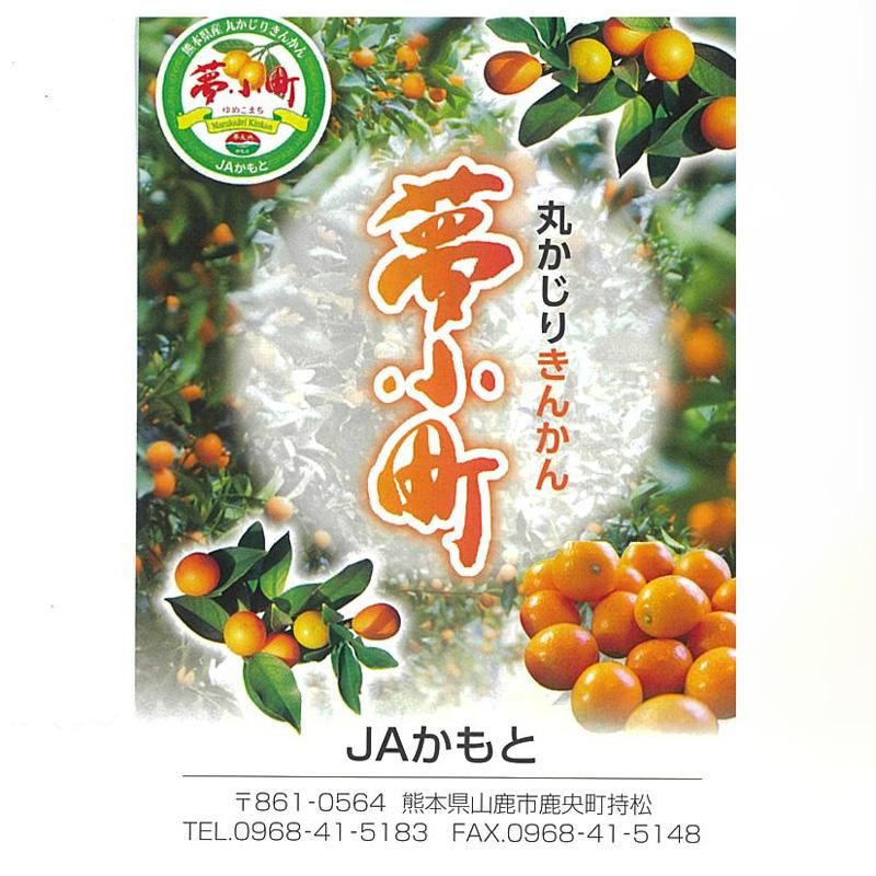 夢小町（きんかん）