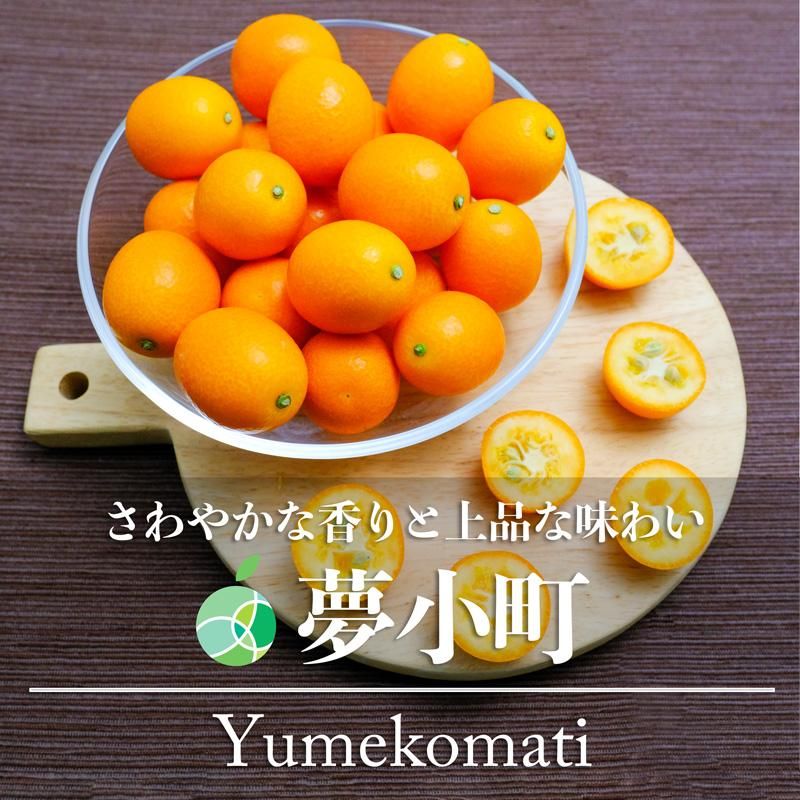 夢小町（きんかん）