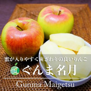 送料無料　ぐんま名月　りんご　贈答用　約10kg　24〜32玉　長野県産