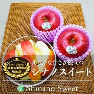最高級品 シナノスイート チャンピオンりんご 糖度16度前後 贈答用 約