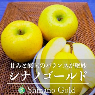 送料無料　シナノゴールド　りんご　贈答用　約2kg　5〜6玉　長野県産