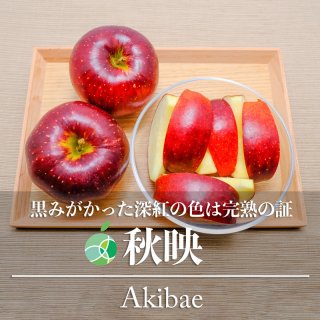 秋映　りんご　贈答用　約10kg　20-32玉　長野県産　ハロウィン　フルーツ　ギフト