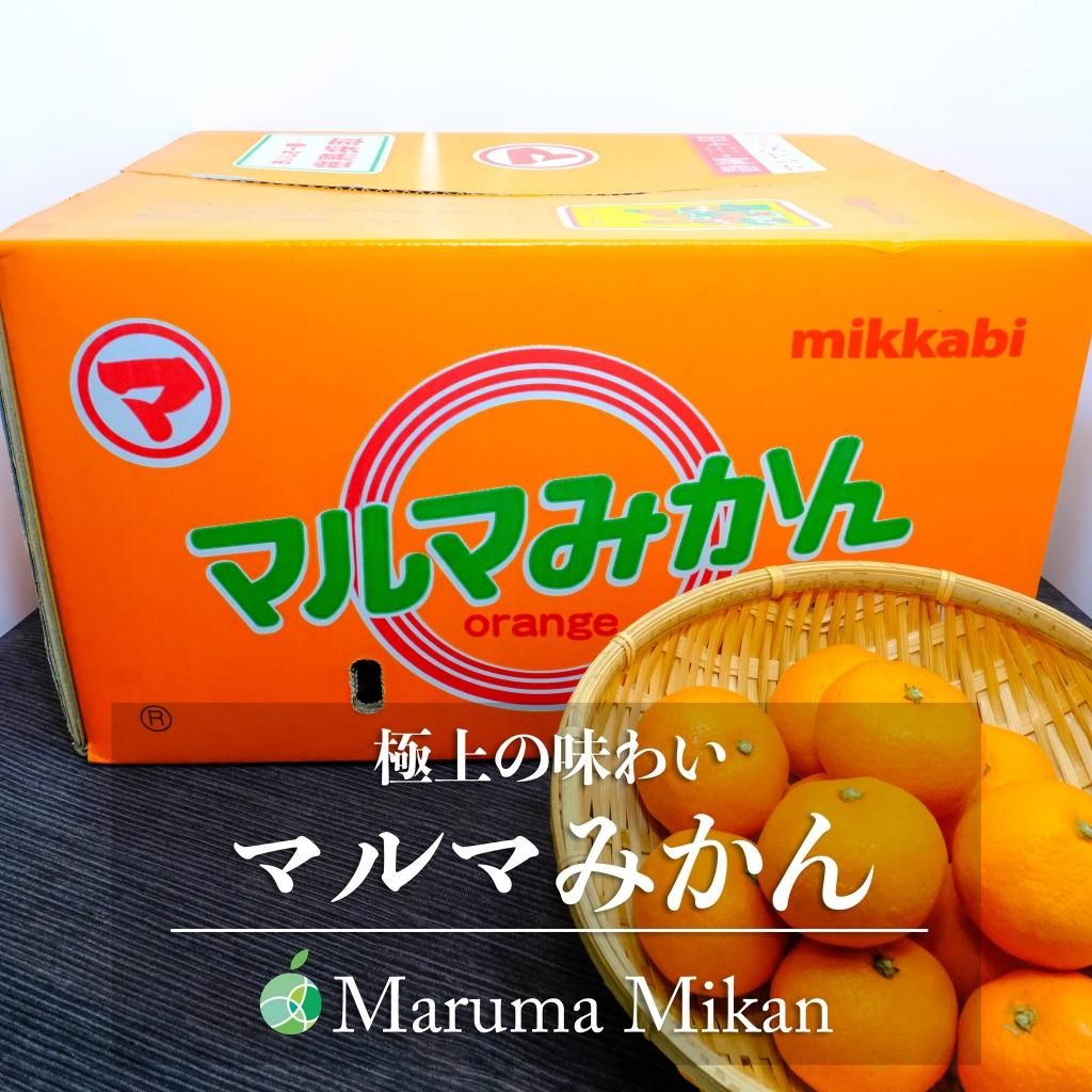 マルマみかん みかん 青秀 L 10kg 静岡県・三ヶ日産 フルーツ マルマみかん みかん 青秀 L 10kg 静岡県・三ヶ日産 フルーツ