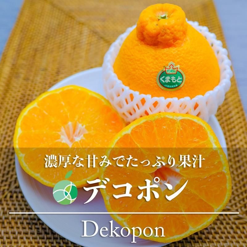 不知火（ デコポン と同品種 ） 熊本産 訳あり ご家庭用 20kg