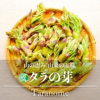 信州産 アカシア蜂蜜&りんご蜂蜜 はちみつ 各1個セット 長野県 信州産 アカシア蜂蜜&りんご蜂蜜 はちみつ 各1個セット 長野県