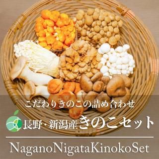 Ĺ㸩Τåȡ8ࡡҥ饿ޥ֥ʥ᥸֥ʥԡ󥮡Υʥᥳ2ѥå16ѥå2kg