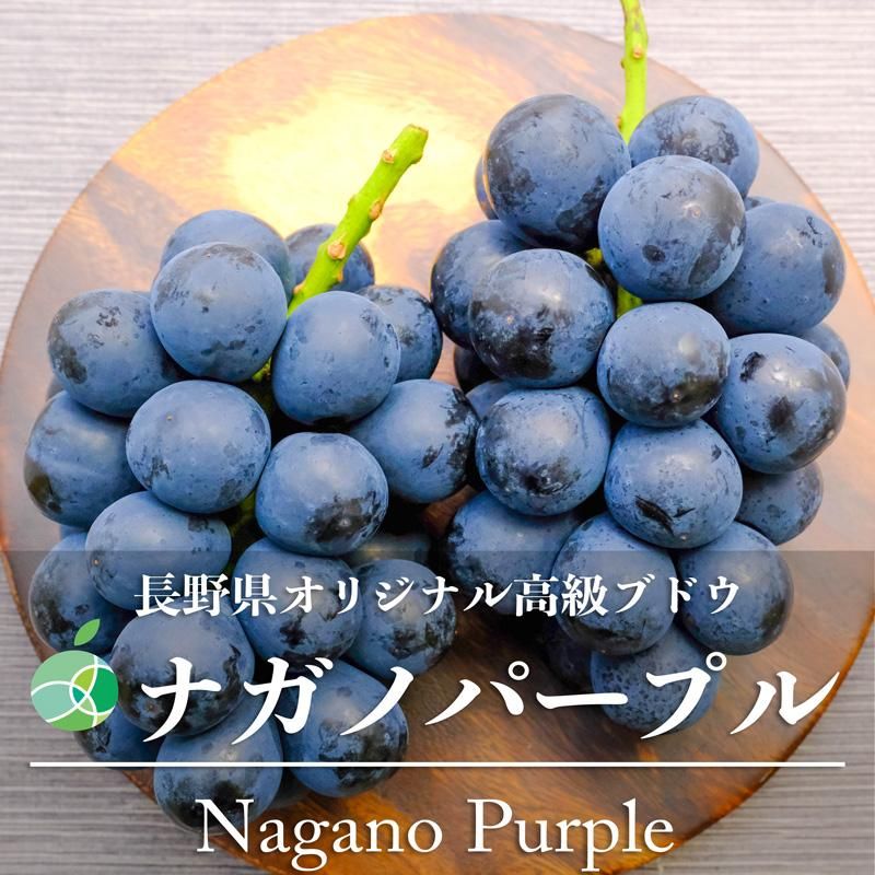 かうちんさま専用】ナガノパープル4房　果物