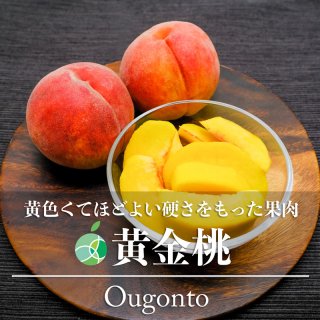 送料無料　黄金桃　もも　輝々桃　糖度13度以上　贈答用　秀　約1.5kg　中・6玉　長野県産