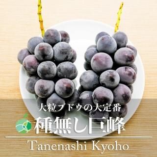 ʤ֤ɤ£ѡ2kg4-6˼Ĺ롡롡Ϸץ쥼ȡե롼ġե
