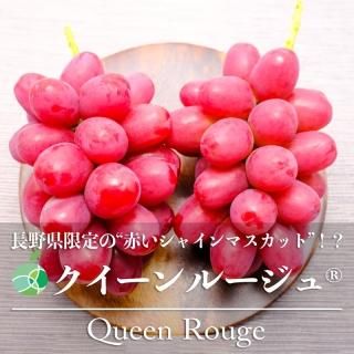 롼塡֤ɤ£ѡ2kg46˼Ĺƺե롼ġեȡץ쥼