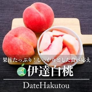 ã⡡£ѡ3kg812̡Ĺ