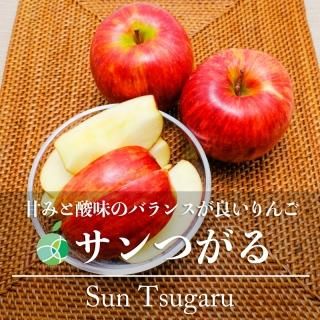 Ĥ롡󤴡£3kg7-12̡ĹӸ顡ե롼ġեȡץ쥼ȡ顡񤤡