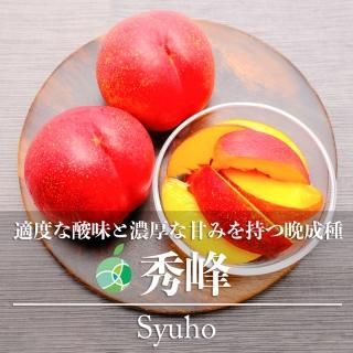 ͥ3kg8-18̡ĹϷե롼ġե