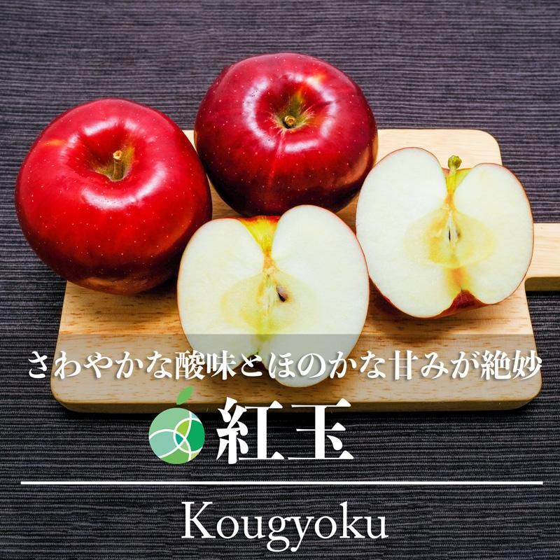 紅玉 りんご 約2kg 6-14玉 長野県産 御歳暮 お歳暮 2023年 フルーツ 