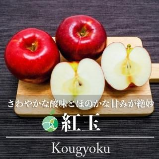 ȶ̡󤴡4.5kg14-25̡Ĺ롡롡ե롼ġե