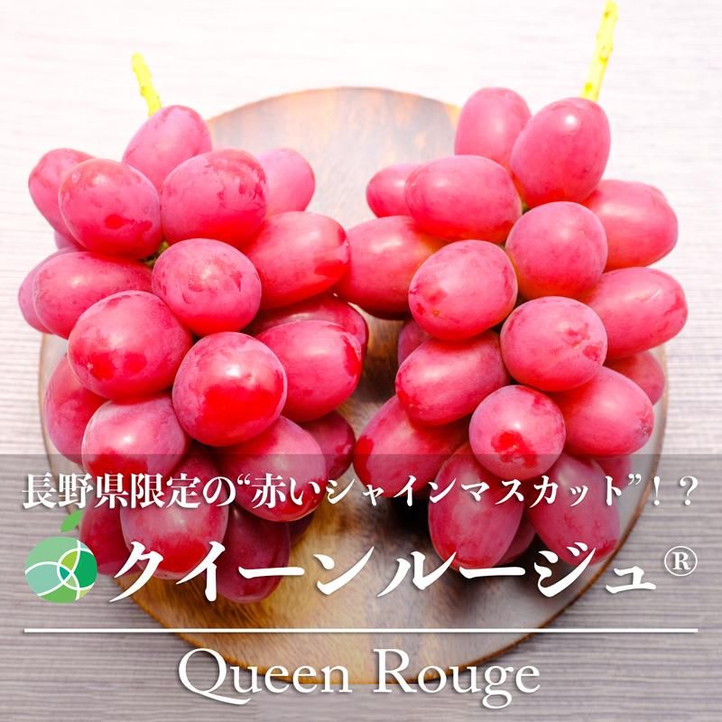 クイーンルージュ® ぶどう 贈答用 秀 約500g 1房 長野県産 敬老の日 ...