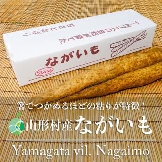 くらかけ豆 豆 約800g 長野県飯山市産 2024年度産 国産 鞍掛豆