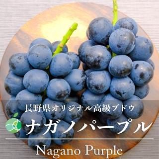 ̵ʥΥѡץ롡֤ɤ£ѡ1.4kg2˼ĹϷե롼ġե