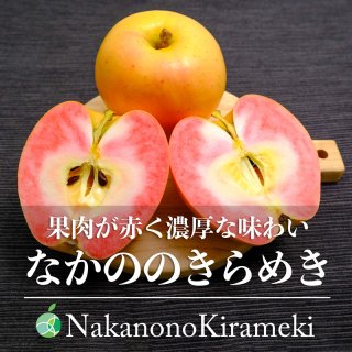 送料無料　なかののきらめき　りんご　贈答用　約1.5kg　5玉　長野県中野市産