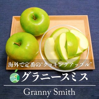送料無料　グラニースミス　りんご　贈答用　約1.4kg　4玉　長野県産