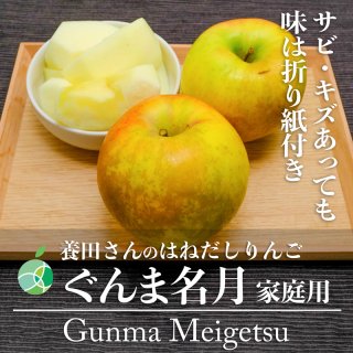 サビ・キズあり　ぐんま名月　りんご　家庭用　約1.4kg　4〜5玉　長野県山ノ内町産