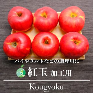 加工用　生食には適しません　紅玉　りんご　約2kg　6〜14玉　長野県産