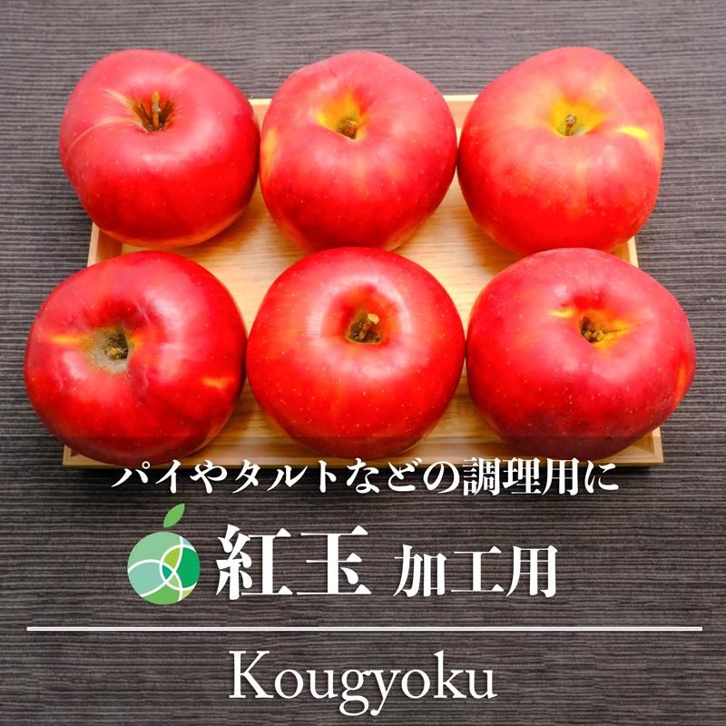 加工用 紅玉 りんご 約4.5kg 14-25玉 長野県産 ※生食には適し