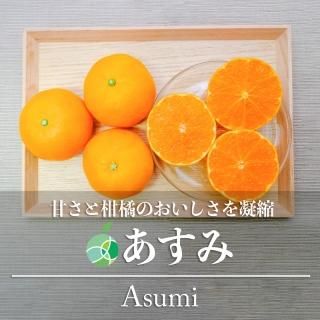 ߡߤֽS2.5kg̪ץ쥼ȡե롼ġեȡ£ʪˤ顡
